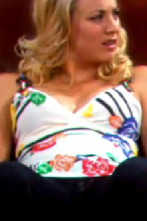Imagen de The Big Bang Theory (T2): Ep.3 La sublimación bárbara - 1