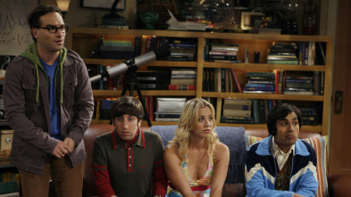 Imagen de The Big Bang Theory (T2): Ep.6 El teorema de Cooper-Nowitzki - 2