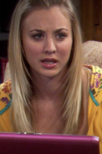 Imagen de The Big Bang Theory (T2): Ep.13 El algoritmo de la amistad - 1