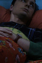 Imagen de The Big Bang Theory (T2): Ep.21 La re-normalización de Las Vegas - 1