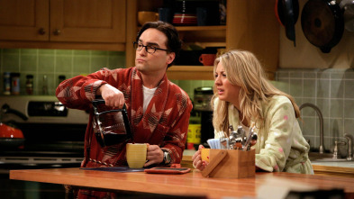 Imagen de The Big Bang Theory (T3): Ep.14 La aproximación de Einstein - 2