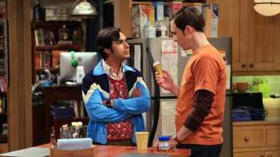 Imagen de The Big Bang Theory (T4): Ep.22 La implementación del ñu - 2