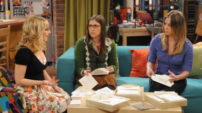 Imagen de The Big Bang Theory (T5): Ep.16 La solución a las vacaciones - 2