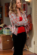 Imagen de The Big Bang Theory (T5): Ep.17 La desinfectación de Rothman - 1