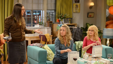 Imagen de The Big Bang Theory (T5): Ep.22 La convergencia del macho solitario - 2