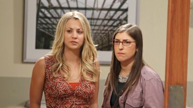 Imagen de The Big Bang Theory (T6): Ep.3 La observación del Bosón de Higgs - 2