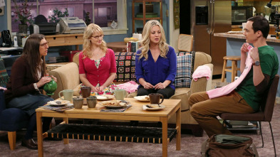 Imagen de The Big Bang Theory (T6): Ep.12 La Equivalencia del Sándwich Vegetal - 2