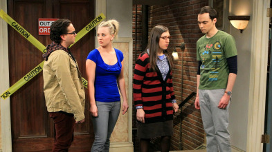 Imagen de The Big Bang Theory (T6): Ep.15 La segmentación de los finales desvelados - 2