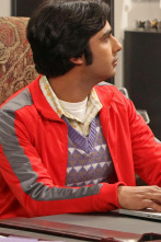 Imagen de The Big Bang Theory (T6): Ep.21 La alternativa de la finalización - 1