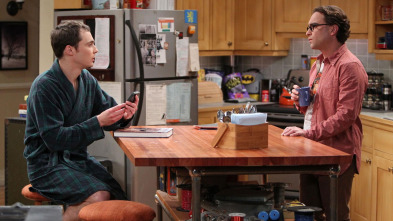 Imagen de The Big Bang... (T7): Ep.20 La disjunción de la relación - 2