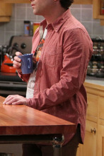 Imagen de The Big Bang... (T7): Ep.20 La disjunción de la relación - 1