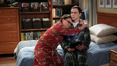 Imagen de The Big Bang... (T7): Ep.22 La transmogrificación del protón - 2