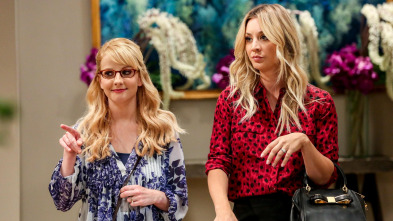 Imagen de The Big Bang Theory (T12): Ep.4 Las turbulencias de Tam - 2
