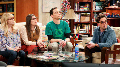 Imagen de The Big Bang Theory (T12): Ep.20 La reverberación de la decisión - 2