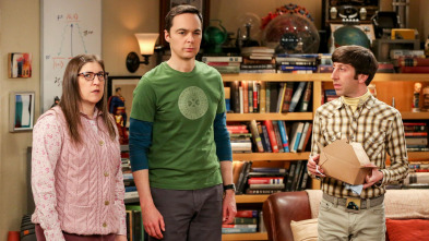 Imagen de The Big Bang Theory (T12): Ep.21 El cisma del plagio - 2