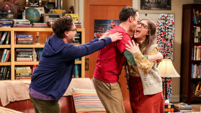 Imagen de The Big Bang Theory (T12): Ep.23 La constante del cambio - 2