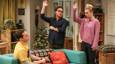 Imagen de The Big Bang Theory (T11): Ep.19 La disociación del inquilino - 2