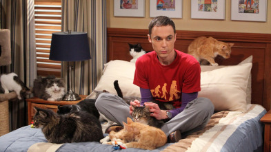 Imagen de The Big Bang Theory (T4): Ep.3 Una sustitución brillante - 2