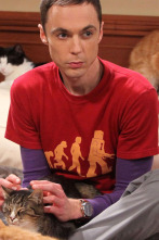 Imagen de The Big Bang Theory (T4): Ep.3 Una sustitución brillante - 1