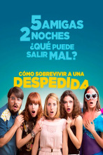 Imagen de Cómo sobrevivir a una despedida - 1