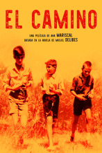 Imagen de El camino - 1