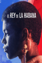 Imagen de El Rey de La Habana - 1