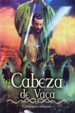 Imagen de Cabeza de vaca - 1