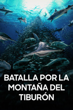 Imagen de Batalla por la montaña del tiburón - 1