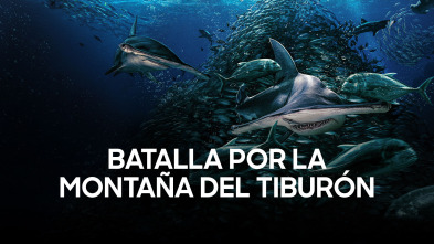 Imagen de Batalla por la montaña del tiburón - 2