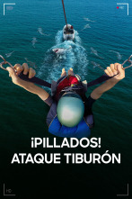Imagen de ¡Pillados! Ataque tiburón - 1
