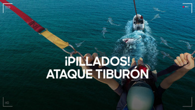 Imagen de ¡Pillados! Ataque tiburón - 2