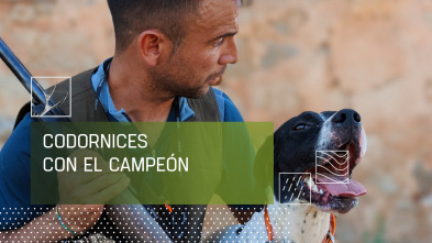 Imagen de Codornices con el campeón - 2