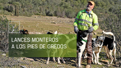 Imagen de Lances monteros a los pies de Gredos - 2