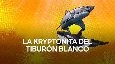 Imagen de La kryptonita del tiburón blanco - 2