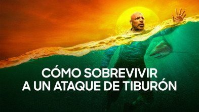 Imagen de Cómo sobrevivir a un ataque de tiburón - 2