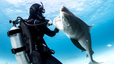 Imagen de Tiburones: Aguas peligrosas - 4