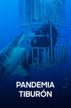 Imagen de Pandemia tiburón - 1