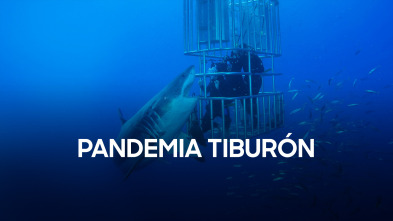 Imagen de Pandemia tiburón - 2