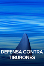Imagen de Defensa contra tiburones - 1