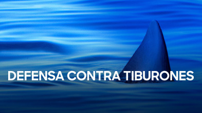 Imagen de Defensa contra tiburones - 2