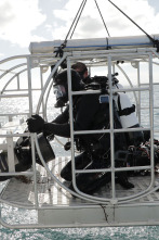 Imagen de Defensa contra tiburones - 3