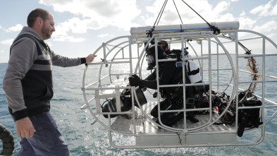 Imagen de Defensa contra tiburones - 4