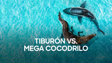 Imagen de Tiburón vs. mega cocodrilo - 2