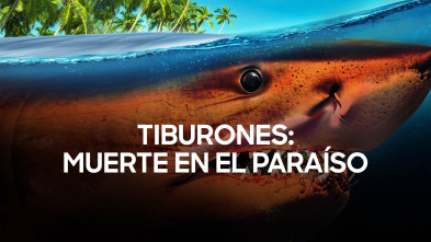 Imagen de Tiburones: muerte en el paraíso - 2