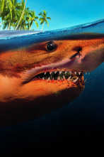 Imagen de Tiburones: muerte en el paraíso - 3