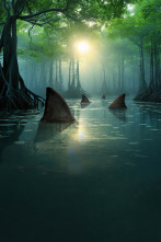 Imagen de Tiburones: aguas contaminadas  - 3