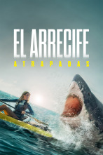 Imagen de El Arrecife: Atrapadas - 1