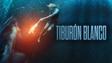 Imagen de Tiburón blanco - 2
