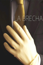 Imagen de La brecha - 1