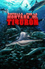Imagen de Batalla por la montaña del tiburón - 1